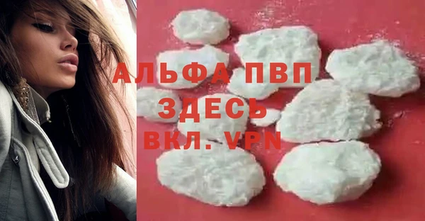 прущий лед Инсар