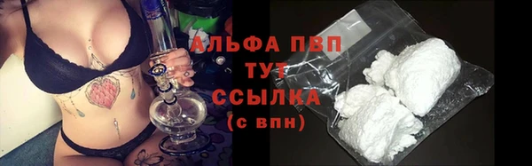 стафф Инта