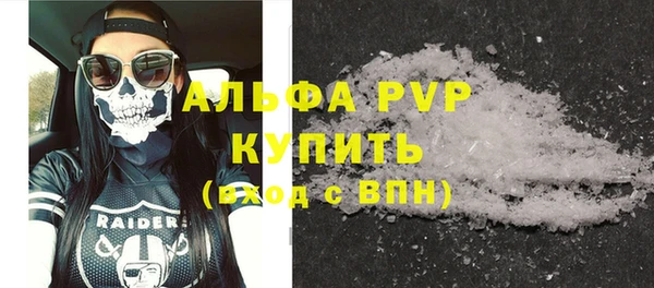 стафф Инта