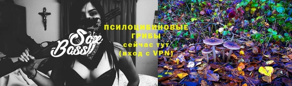 прущий лед Инсар