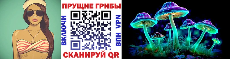 где можно купить наркотик  площадка состав  Псилоцибиновые грибы Cubensis  Сольвычегодск  blacksprut рабочий сайт 